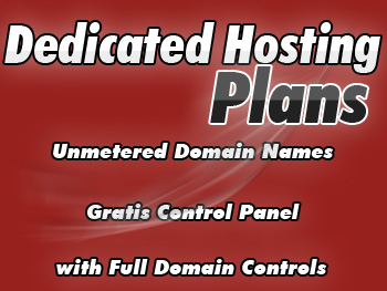 Top dedicated hosting service